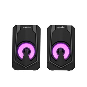 E-3060 2.0 Usb Raynox Speaker