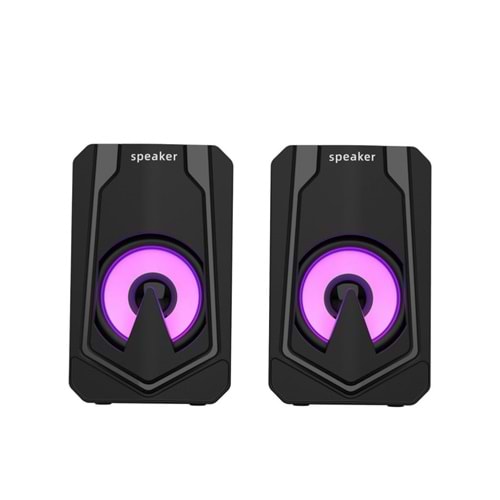 E-3060 2.0 Usb Raynox Speaker